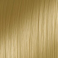 EcoColors Hair Color Kit:  8V—Dark Blonde